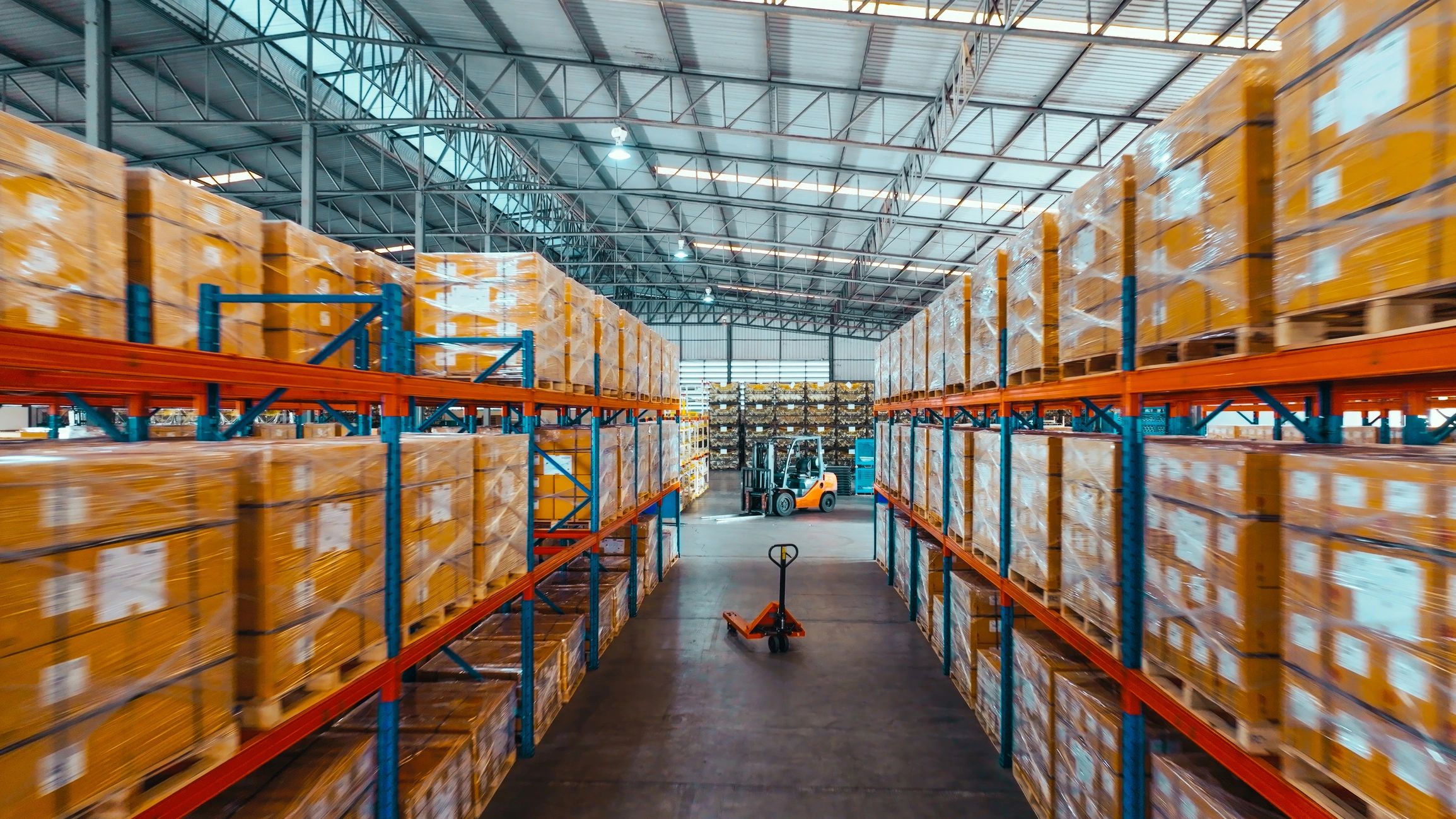Packaged products arranged on warehouse shelving
