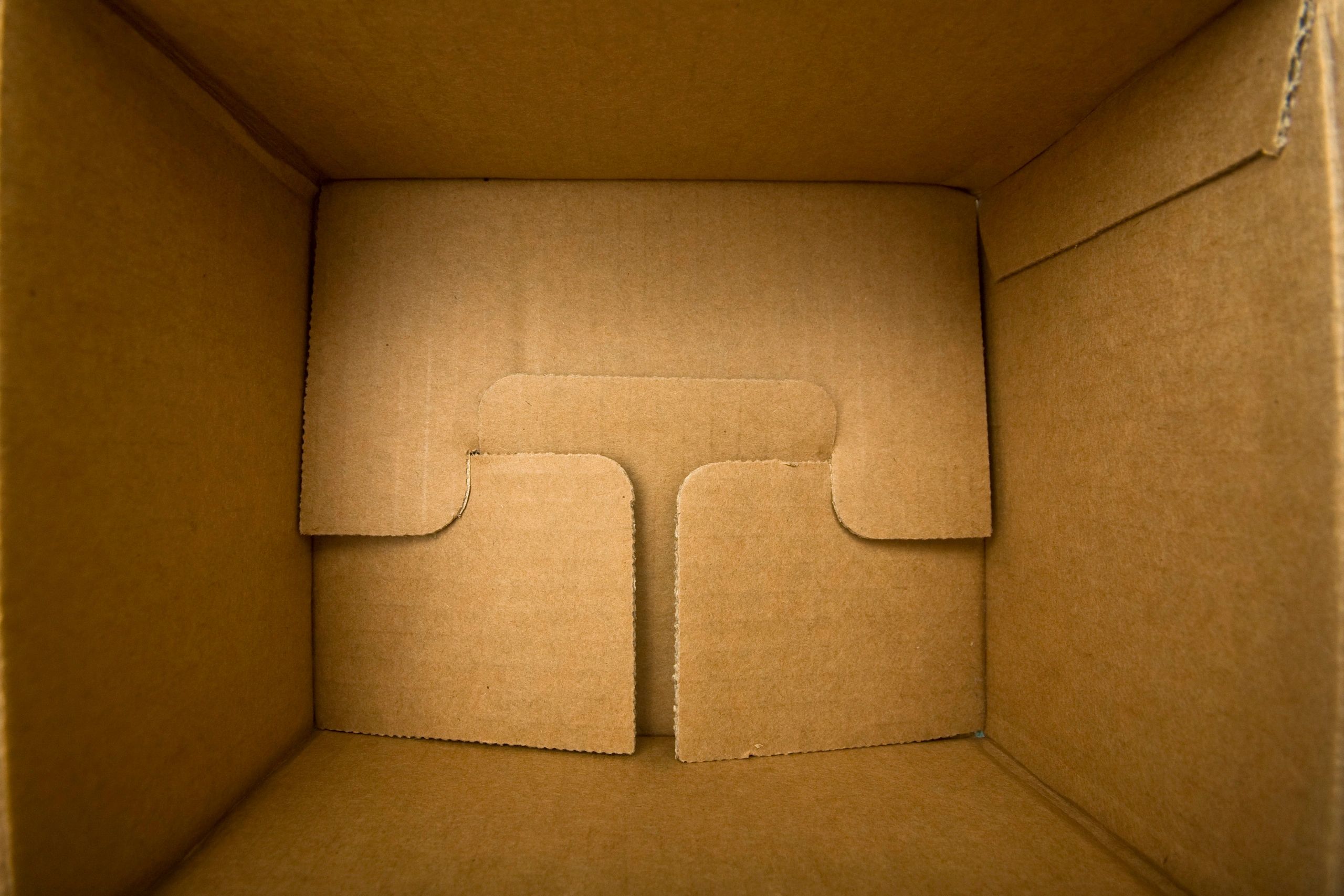 Interior view of a cardboard box
